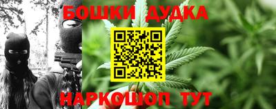 мяу мяу мука Кингисепп